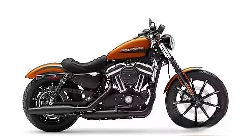 Iron 883